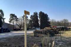IMG-20220306-WA0003