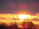 DSC01783.JPG