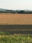Campagne confinée