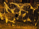 halloween-a-posafol_recolte-des-bonbons_09.jpg