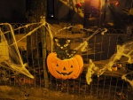 halloween-a-posafol_recolte-des-bonbons_10.jpg